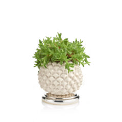 Pigna portavaso/portapenne Acca castellani